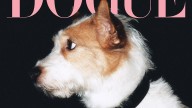 How Rosé’s Dog Hank Went From Rescue Pup to Instagram’s Most Followed Dog