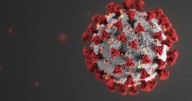 Here’s what to know about summer colds and the new COVID