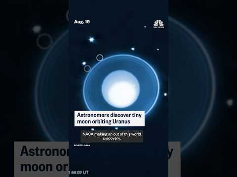 Astronomers discover tiny moon orbiting Uranus