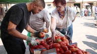 Mansilla de las Mulas (León) se viste de gala para celebrar su tradicional Feria del Tomate