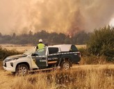 Un detenido por haber provocado un incendio en Zamora