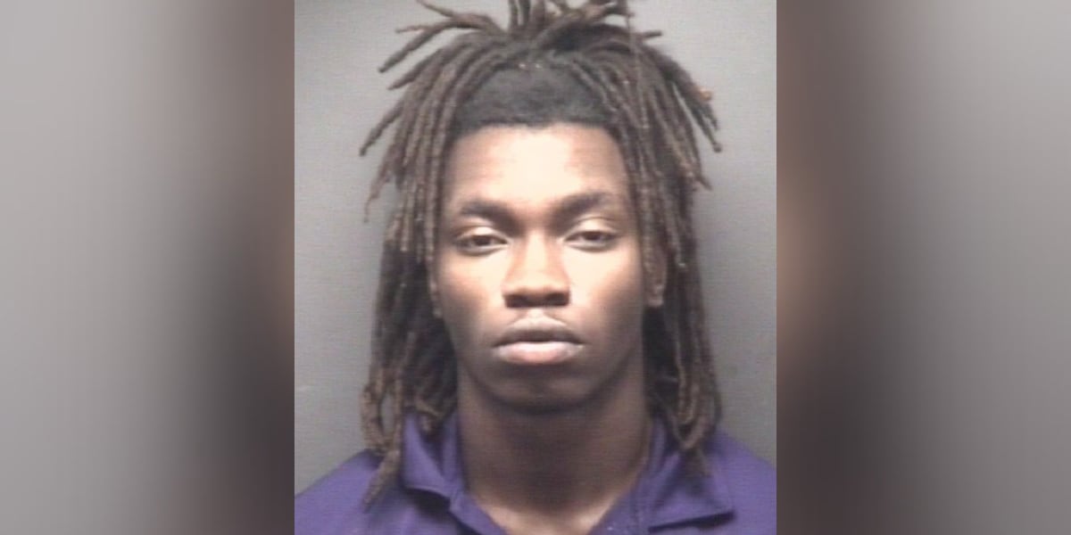 WARRANTS: Driver drags two Greenville officers during traffic stop