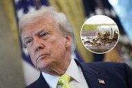 Trump's 401(k) Change: What Administrators and Employees Need to Know