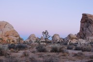 National parks generate big bucks. Why is Trump gutting them?
