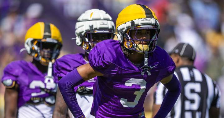 Why this 'unique' LSU freshman defender was compared to an NFL star by Brian Kelly