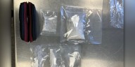 Over 100 grams of fentanyl, $13,000 in forged checks recovered near Denver
