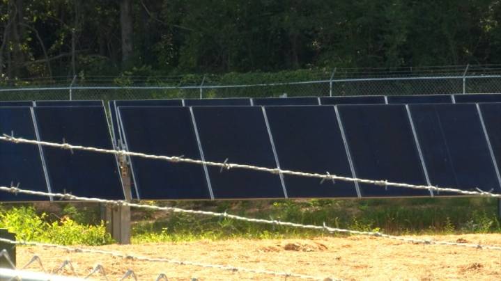 New solar farm producing energy for Maryville power grid, Denso