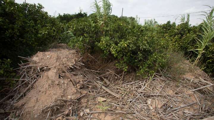«La campaña agrícola está perdida porque aún hay parcelas con barro»