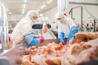 Cost of bacon: Once essential workers in meatpacking during COVID pandemic now face forced deportation