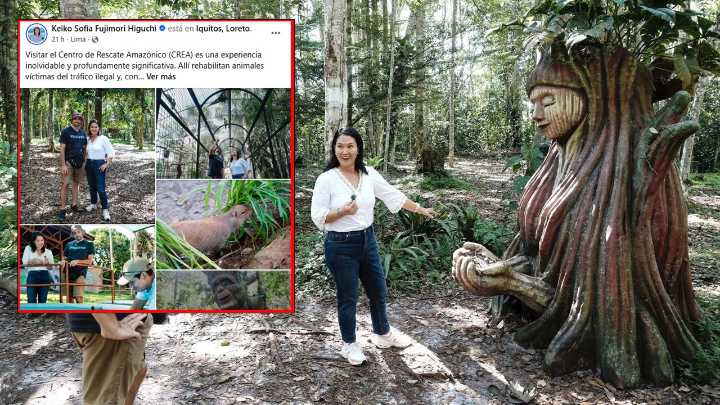 Ahora le gusta la naturaleza, pero su partido votó a favor de la “Ley Antiforestal”