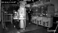 Ladrones sustraen 7.000 dólares en muñecos Labubu de una tienda de Los Ángeles