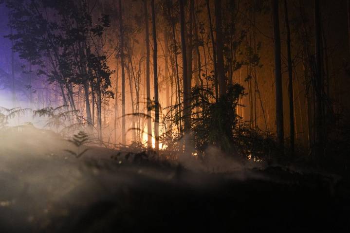 Asturias enfrenta 12 incendios forestales este domingo, con seis aún activos