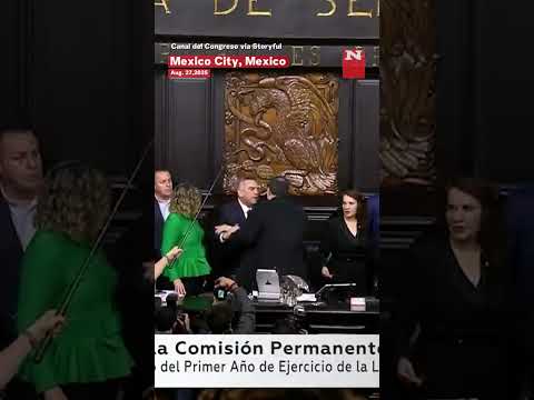 Mexican Lawmakers Get In A Fight During Senate Session