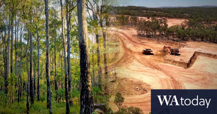 Kings Park festival caught up in Alcoa ‘greenwashing’ claims