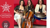Connecting Cords music festival returns to Dr. TK Lawless Park August 22