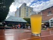 Ann Arbor beer garden has the most refreshing Shandy you need to try before summer ends