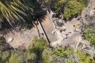 Trabajan en rehabilitar aguaje en Isla de Cedros