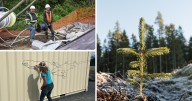 AROUND ALASKA: Water Upgrade, VR Mural, and Seedling Giveaway