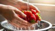 Ni agua ni sal: cómo lavar las frutillas para eliminar la suciedad y los gusanos