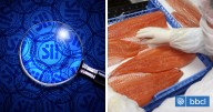 Los métodos con que el SII pone ojo a los millones que se mueven por la venta ilegal de salmón