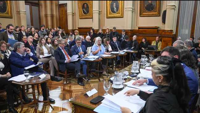 Senado: la oposición continúa su marcha y consiguió dictámenes por la emergencia en el Garrahan y la ley de Financiamiento Universitario