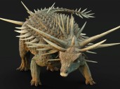'Strangest' dinosaur covered in spiked armoury: scientists