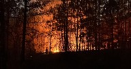 Fire crews tackle vegetation fire near South Marshall Road in Spokane