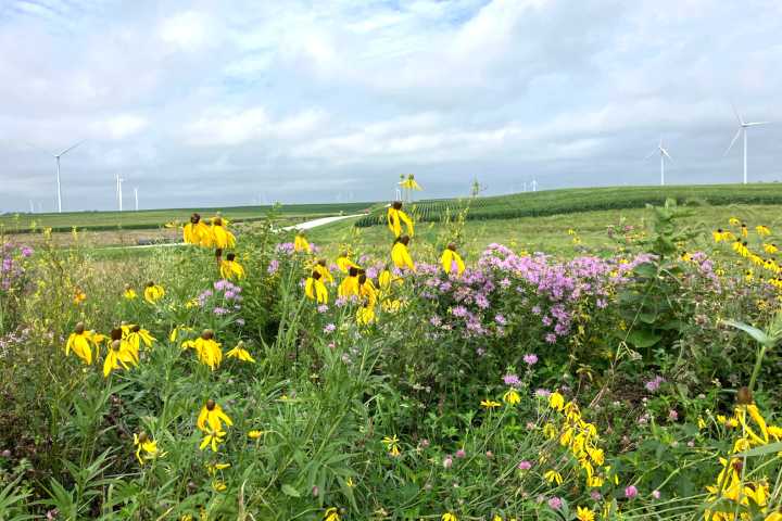 Will Trump’s ‘Big Beautiful Bill’ help farmers in the Midwest and Great Plains? It depends