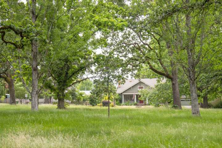 Council discusses balancing access, ecological preservation at Bush’s Pasture Park 