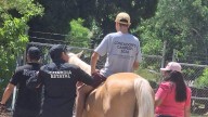 Equinoterapia en Tamaulipas: policías emplean caballos rescatados para esta iniciativa