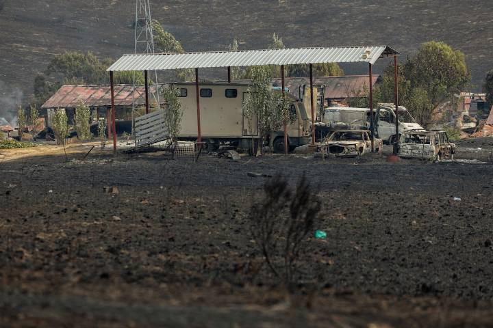 El hombre que murió en el incendio de Tres Cantos intentó salvar a los caballos de las llamas