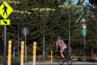 Photo | Cyclists passes ‘A Feast of Flowers’ art installation on Coastal Rail Trail