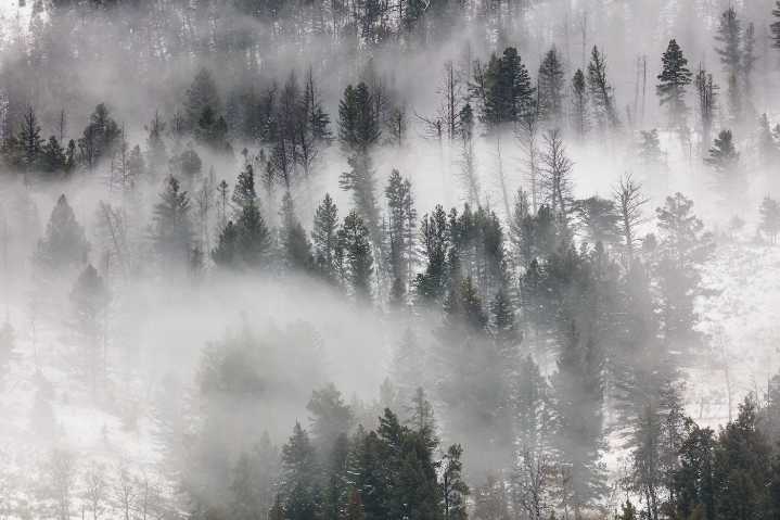 Forest Service faces identity crisis in USDA overhaul plan. Again.