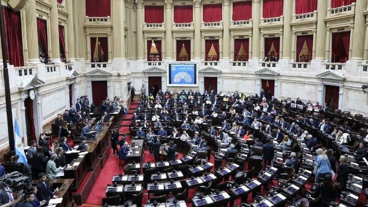 Diputados dieron media sanción a fondos para universidades y el Garrahan