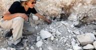 Site where Jesus turned water into wine 'found' by archaeologists