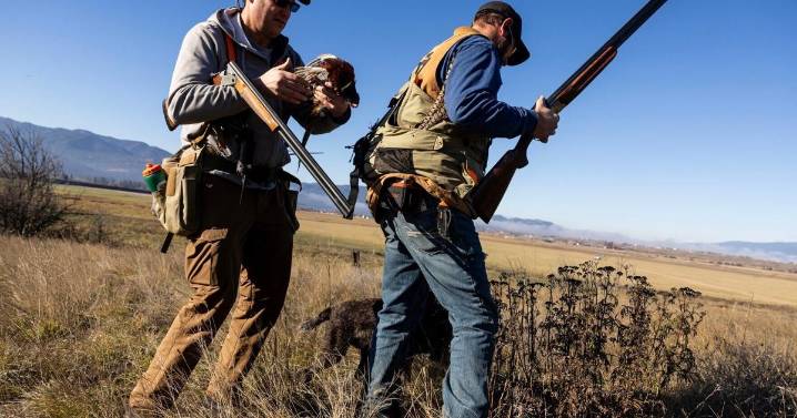 Montana's 2025 upland game bird season outlook