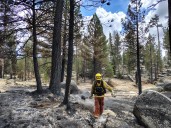 Van 2 mil 240 hectáreas afectadas en San Pedro Mártir por incendio