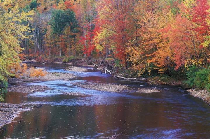 Fall Arrives WEEKS Earlier In This New York State Area