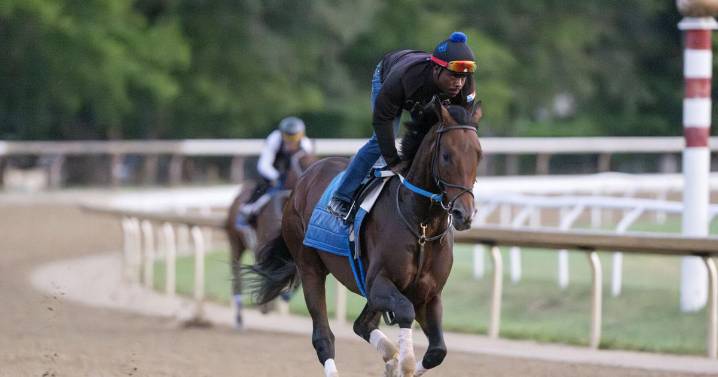 Magnitude arriving late on the scene, but is a serious Travers contender