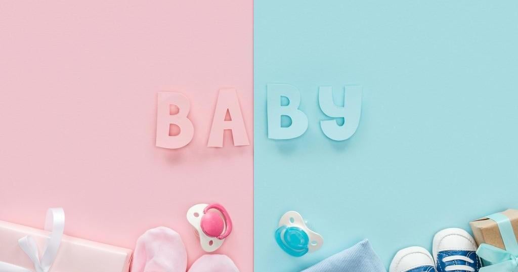 Births in Twin Falls