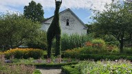 HGTV named RI's Green Animals Topiary Garden a must