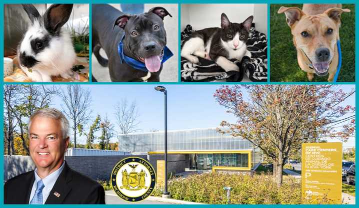 Staten Island DA sponsors fee-waived pet adoption event Saturday