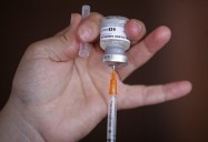 131 casos de fiebre amarilla se han registrado en Colombia entre 2024 y 2025