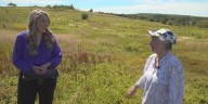 My Maine Takes: Wild Blueberries