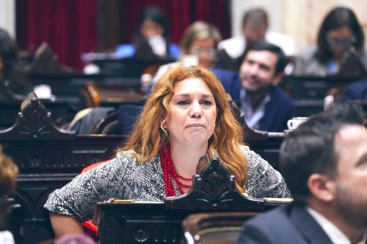 Karina Banfi advirtió sobre la crisis en la UCR y la corrupción en salud: «Debe cortarse de raíz»