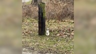Kentucky Driver Glances Out The Window And Spots A Small Creature Tied To A Tree