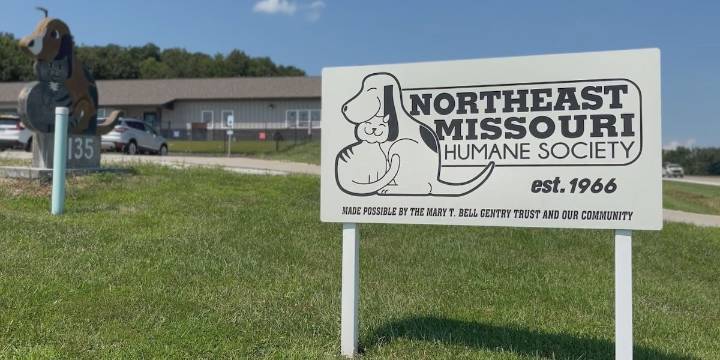 Northeast Missouri Humane Society freezes intakes as adoption rates slow