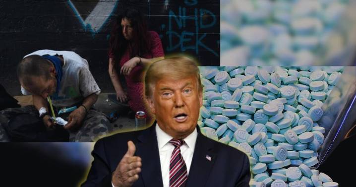 EEUU ha decomisado mil 500 kilos de fentanilo en los primeros 200 días de Trump, un aumento del 25%; Pentágono busca frenar carteles en América Latina
