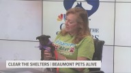Beaumont Pets Alive continues mission to keep Beaumont a no