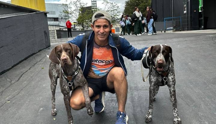 ¿Quiere viajar con su mascota? Que los requisitos para hacerlo no lo tomen por sorpresa